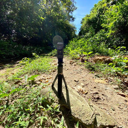 Compact Outdoor Selfie Stick